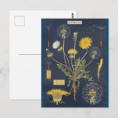 Illustratieblad Briefkaart (Voorkant / Achterkant)