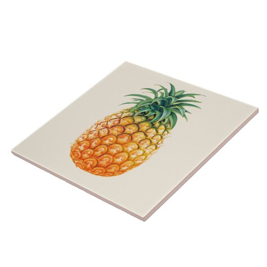 Illustratief anananasontwerp tegeltje (Zijkant)