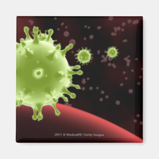 Illustratief weergeven van het SARS-coronavirus Magneet