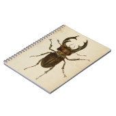 Illustratielampje voor Stag Beetle Kleur / Notitieboek (Linkerzijde)