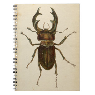 Illustratielampje voor  Stag Beetle Kleur / Notitieboek