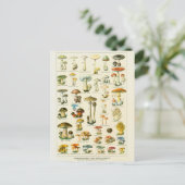 Illustratielampjes dangeureux briefkaart (Staand voorkant)