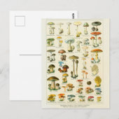 Illustratielampjes dangeureux briefkaart (Voorkant / Achterkant)