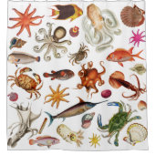 Illustratiepatroon van nautisch onderwater zeedier douchegordijn (Voorkant)