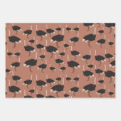 Illustratiepatroon voor vogels Ostrich Bird Inpakpapier Vel (Voorkant)