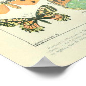  illustraties Butterflies Poster (Hoek)