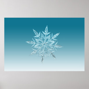 illustraties sneeuwvlokken met ijskristal wintersn poster