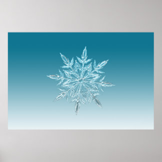 illustraties sneeuwvlokken met ijskristal wintersn poster