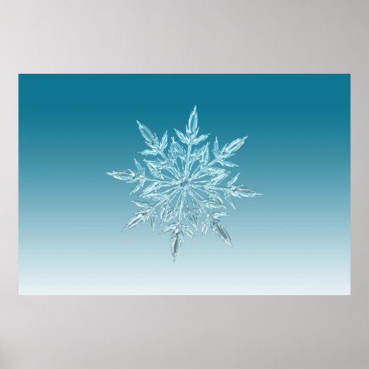 illustraties sneeuwvlokken met ijskristal wintersn poster (Voorkant)