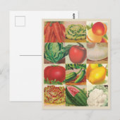 Illustraties ter illustratie van  groenten en frui briefkaart (Voorkant / Achterkant)