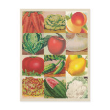 Illustraties ter illustratie van  groenten en frui