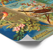 Illustraties uit de 19de eeuw van de vogelstand in poster (Hoek)