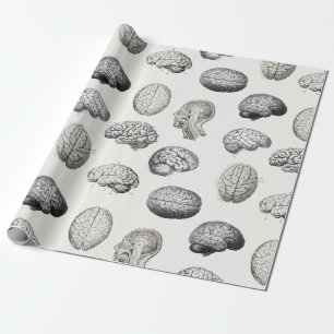 Illustraties van antieke hersen anatomie biologie cadeaupapier