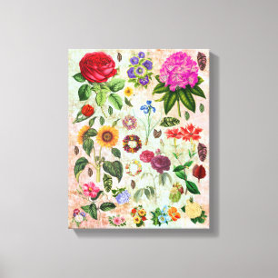 illustraties van botanische ventilatoren Natuur k Canvas Afdruk