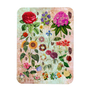 illustraties van botanische ventilatoren Natuur k Magneet