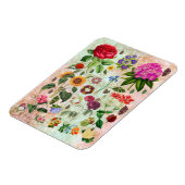 illustraties van botanische ventilatoren Natuur k Magneet (Linkerzijde)