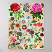 illustraties van botanische ventilatoren Natuur k