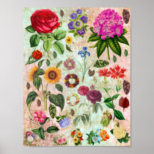  illustraties van botanische ventilatoren Natuur k Poster