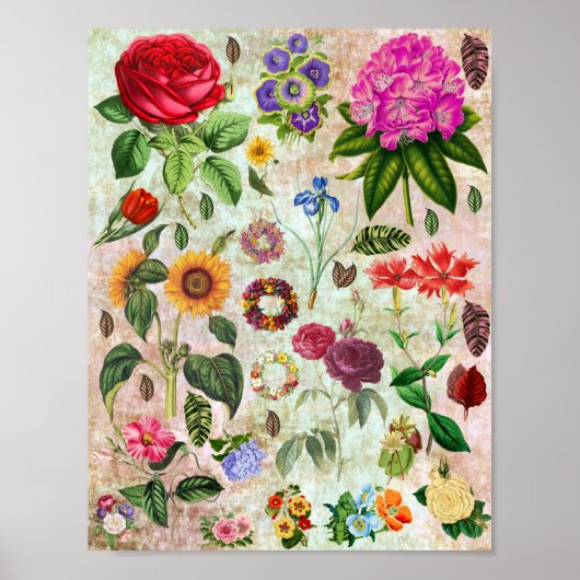 illustraties van botanische ventilatoren Natuur k Poster (Voorkant)