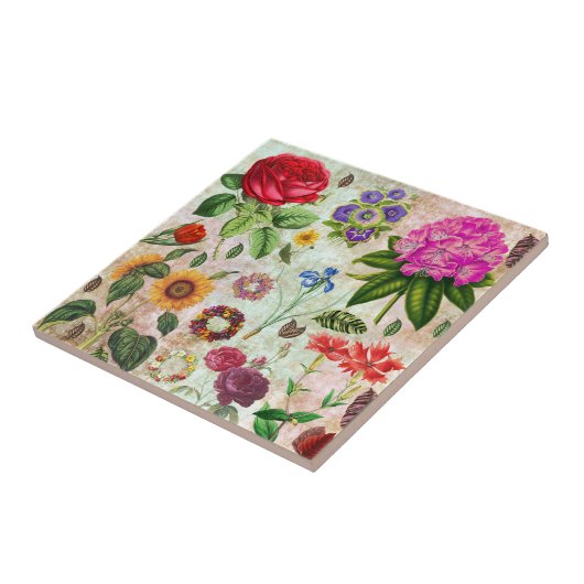 illustraties van botanische ventilatoren Natuur k Tegeltje (Zijkant)