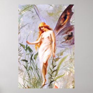 illustraties van de Fairies Poster