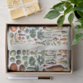 Illustraties van de groente, groenten van de tuin, tissuepapier (Geschenk)