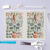 Illustraties van de groente, groenten van de tuin, tissuepapier (Craft)