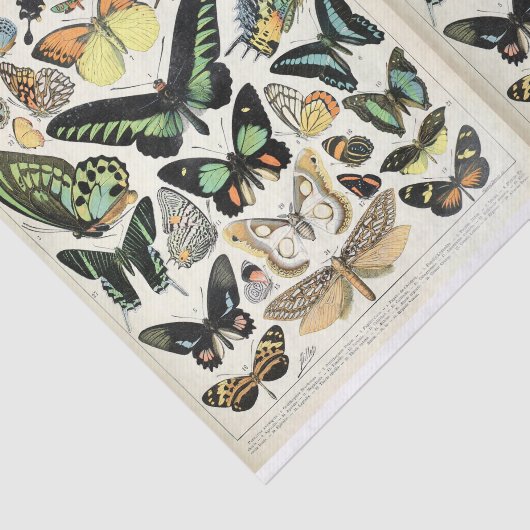 Illustraties van de helling, Butterflies, ontkoppe Tissuepapier (Detail)