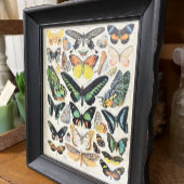 Illustraties van de helling, Butterflies, ontkoppe Tissuepapier