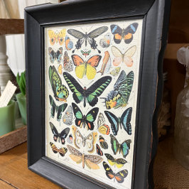 Illustraties van de helling, Butterflies, ontkoppe Tissuepapier