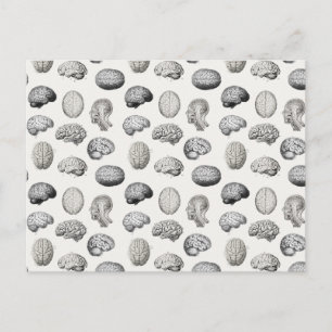 Illustraties van de hersenanatomie en -biologie feestdagenkaart