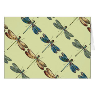 Illustraties van de liftvlieg