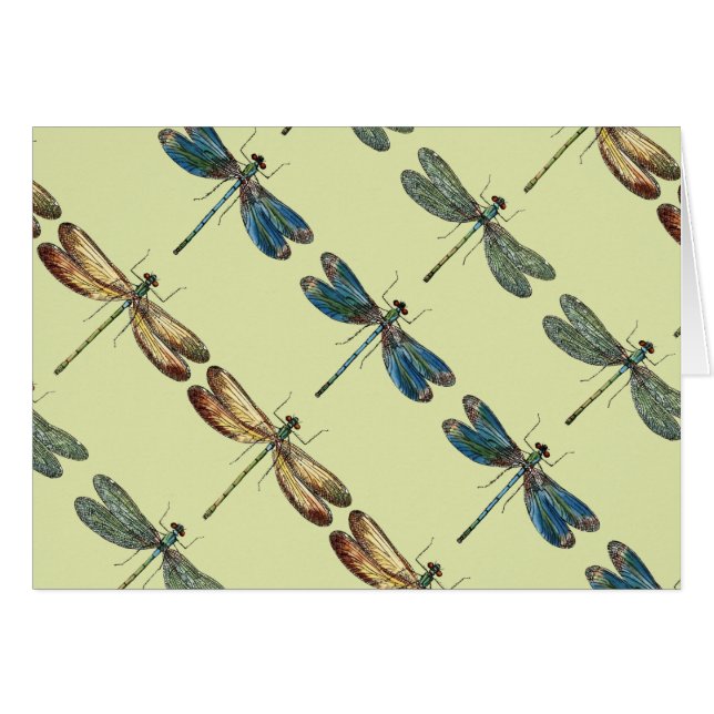 Illustraties van de liftvlieg (Voorkant Horizontaal)