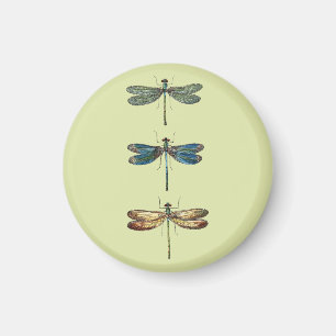 Illustraties van de liftvlieg magneet