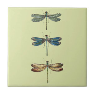 Illustraties van de liftvlieg tegeltje