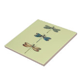 Illustraties van de liftvlieg tegeltje (Zijkant)