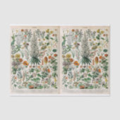 Illustraties van de partij, botanisch, ontkoppeld tissuepapier (Voorkant)