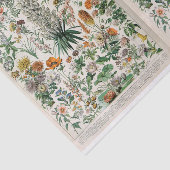 Illustraties van de partij, botanisch, ontkoppeld tissuepapier (Detail)