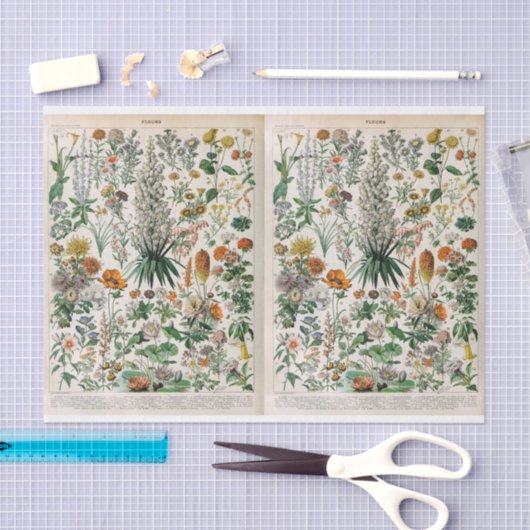 Illustraties van de partij, botanisch, ontkoppeld tissuepapier (Craft)