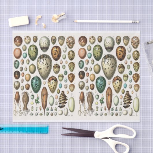 Illustraties van de partij, eieren, ontkoppeling tissuepapier (Craft)