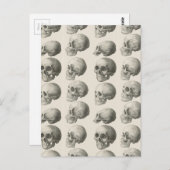 illustraties van de schedel briefkaart (Voorkant / Achterkant)