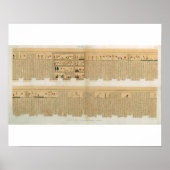 Illustraties van een Pampus-manuscript met hiërogl Poster (Voorkant)