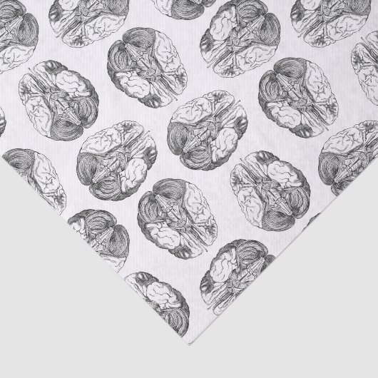 Illustraties van het Antiek breindiagram  Tissuepapier (Detail)