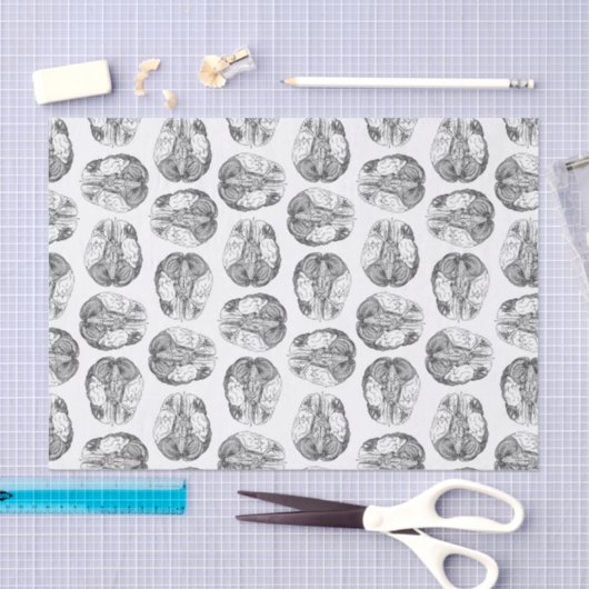 Illustraties van het Antiek breindiagram  Tissuepapier (Craft)