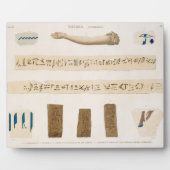 Illustraties van Hieroglyphics en de arm van een m Fotoplaat (Voorkant)