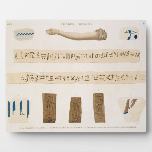 Illustraties van Hieroglyphics en de arm van een m Fotoplaat (Voorkant)
