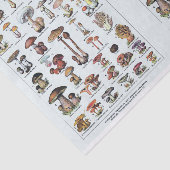 Illustraties van molen, paddenstoelen, ontkoppelin tissuepapier (Detail)