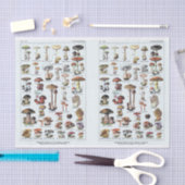 Illustraties van molen, paddenstoelen, ontkoppelin tissuepapier (Craft)