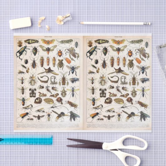 Illustraties van objecten - Insecten, ontkoppeling Tissuepapier (Craft)
