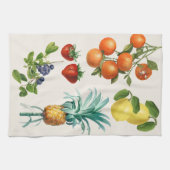 Illustraties van oud fruit theedoek (Horizontaal)